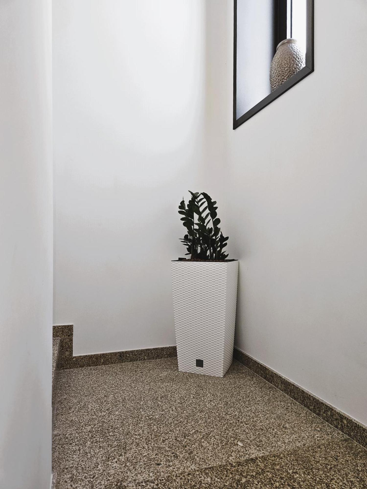 Casa Do Moinho Διαμέρισμα Cabeceiras de Basto Εξωτερικό φωτογραφία